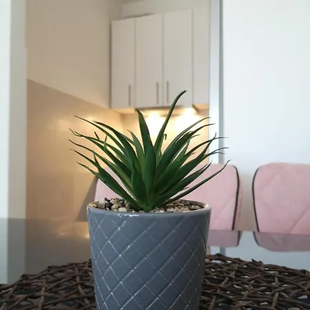 Alina Confort Apartment *