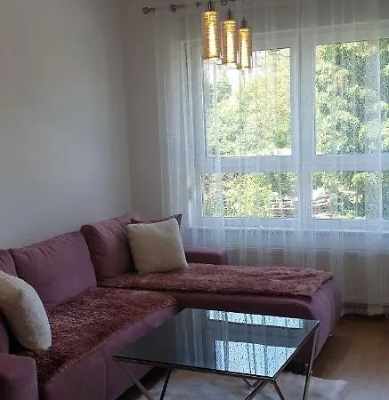 Alina Confort * Banja Luka